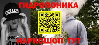 эйфоретик Будённовск