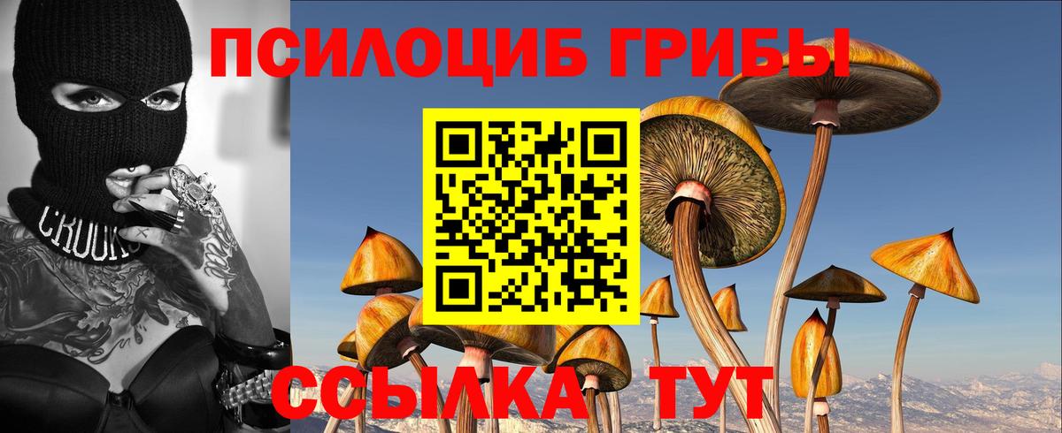Псилоцибиновые грибы мицелий  Вход с VPN  Минусинск 